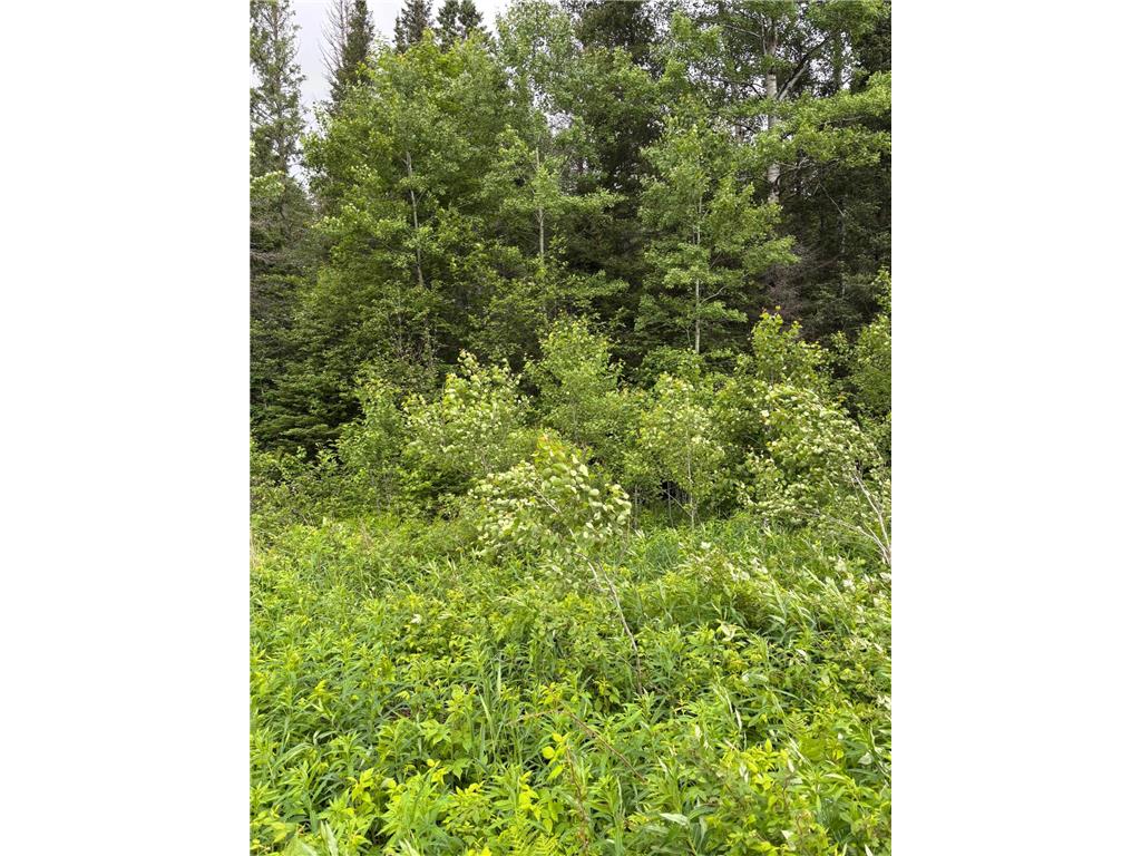 XXX Town Line Road Bassett Twp MN 55602 7093057 image4