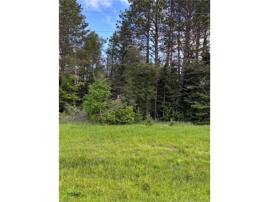 XXX Town Line Road Bassett Twp MN 55602 7093057 image6