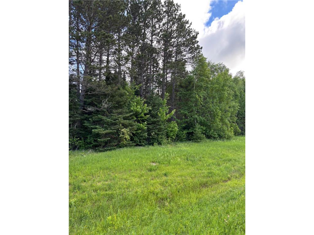 XXX Town Line Road Bassett Twp MN 55602 7093057 image7