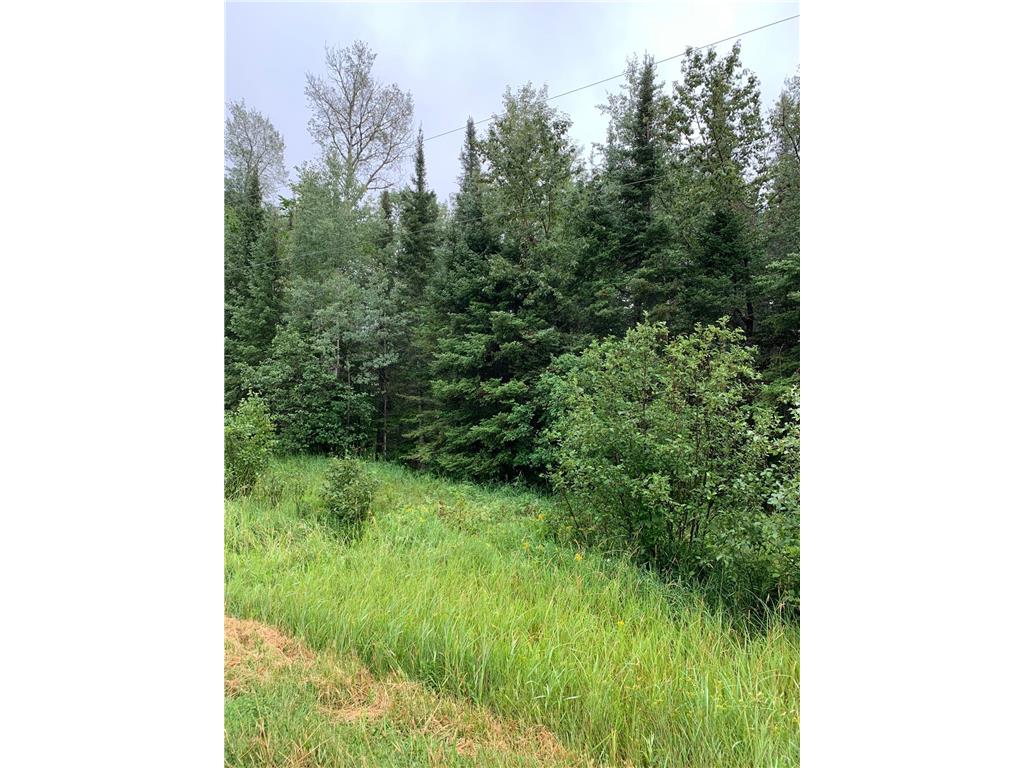 XXX Town Line Road, Forbes, MN, 55738 MLS 6247757 Edina Realty