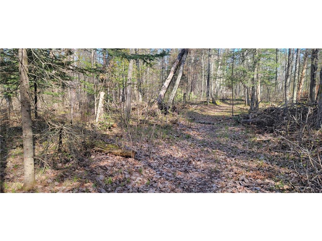 XXX Tract C County Road 11 Crosby MN 56441 6367037 image1