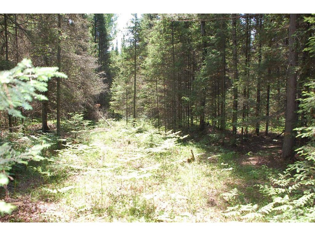 XXX Twin Lakes Loop 45 White Twp MN 55705 6364388 image1