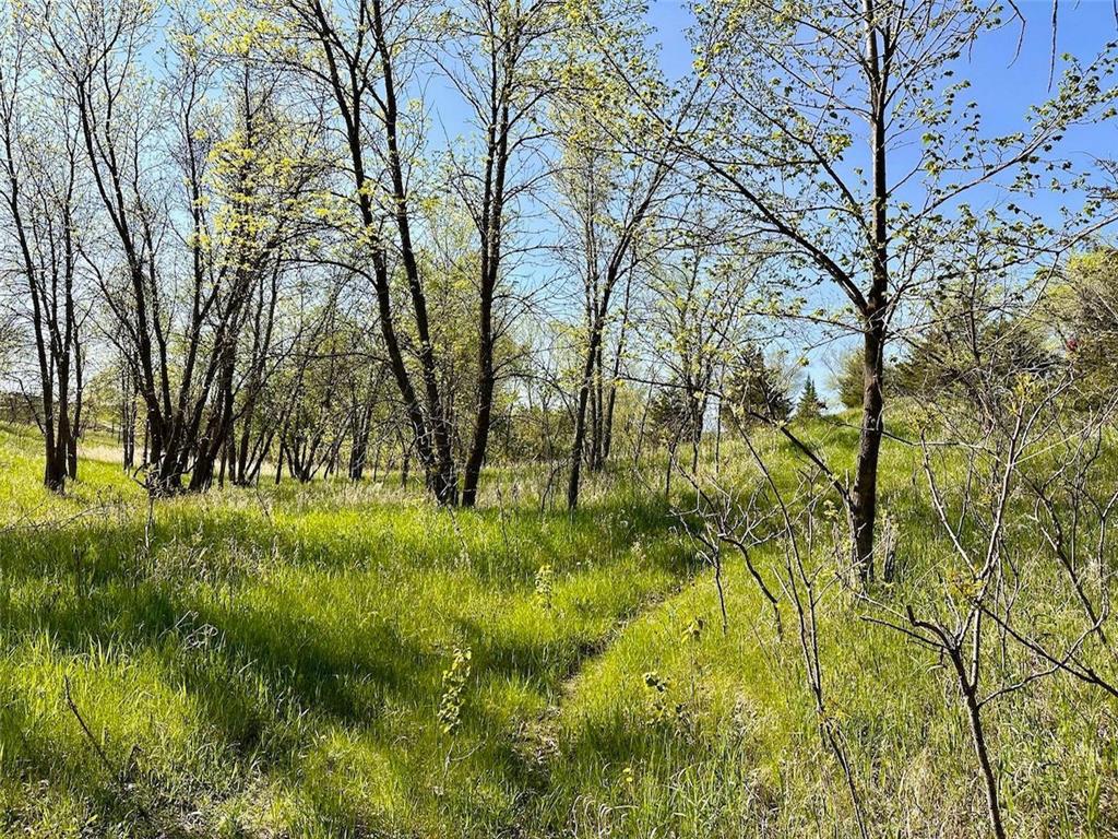 XXX US-71 Little Sauk Twp MN 56378 - Cedar Lake 6730407 image1