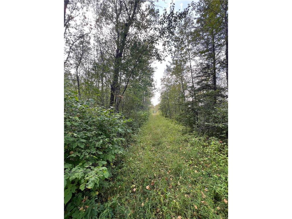 XXX US Highway 53 Highway International Falls MN 56649 6592356 image1