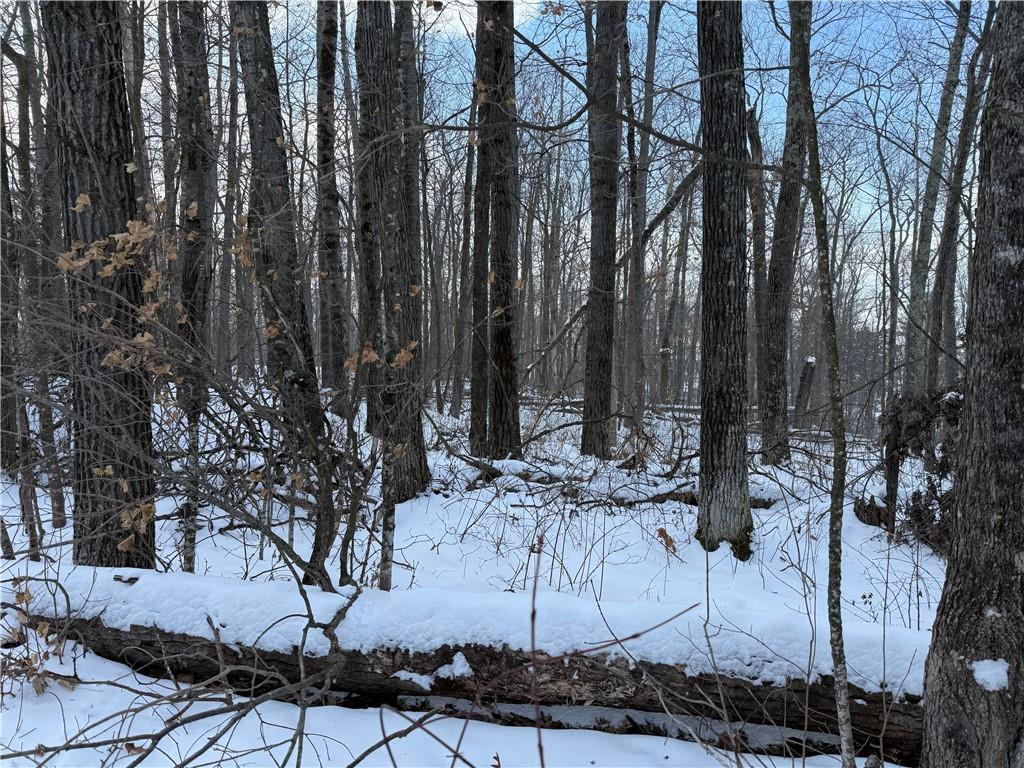 XXX Victory Heights Circle Sand Lake Twp WI 54876 - Lac Courte Oreilles 6659092 image1