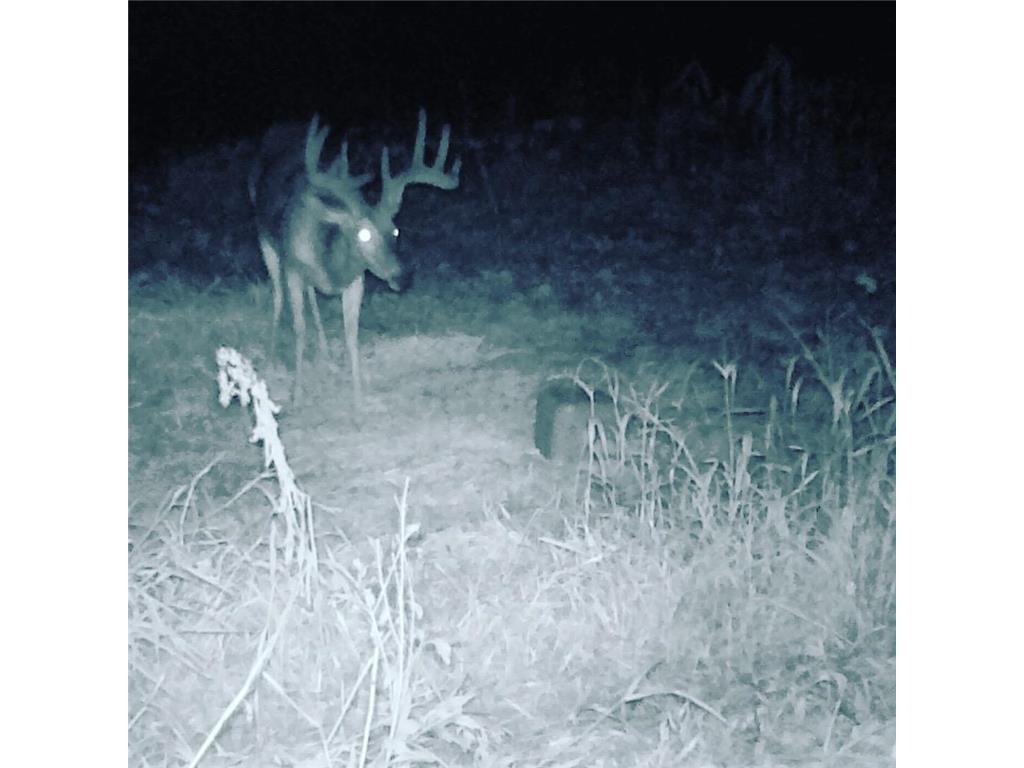 XXX Virgo Street NE North Branch MN 55056 6755918 image10