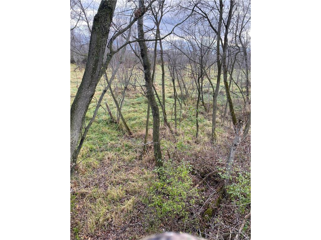 XXX Virgo Street NE North Branch MN 55056 6755918 image11