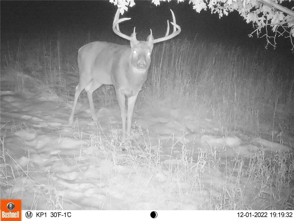 XXX Virgo Street NE North Branch MN 55056 6755918 image9