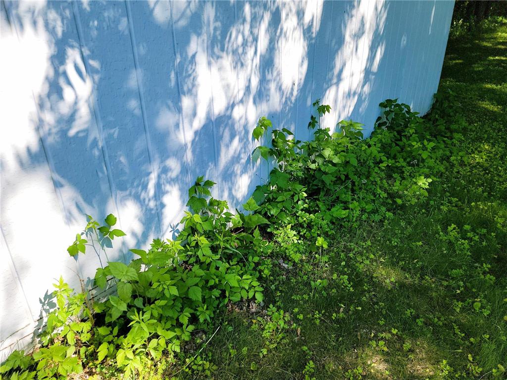 XXX W Church Belle Plaine MN 56011 6678193 image19