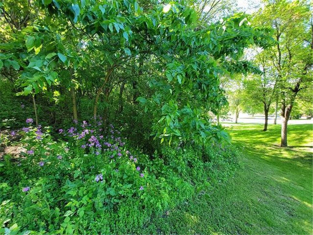 XXX W Church Belle Plaine MN 56011 6678193 image23