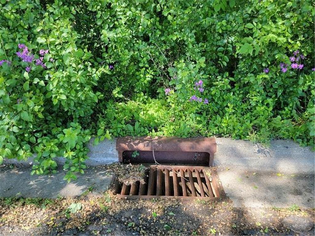 XXX W Church Belle Plaine MN 56011 6678193 image24