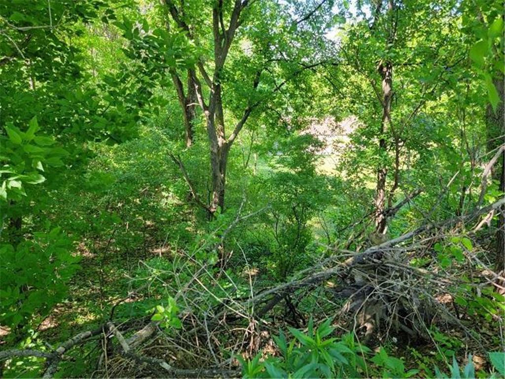 XXX W Church Belle Plaine MN 56011 6678193 image26