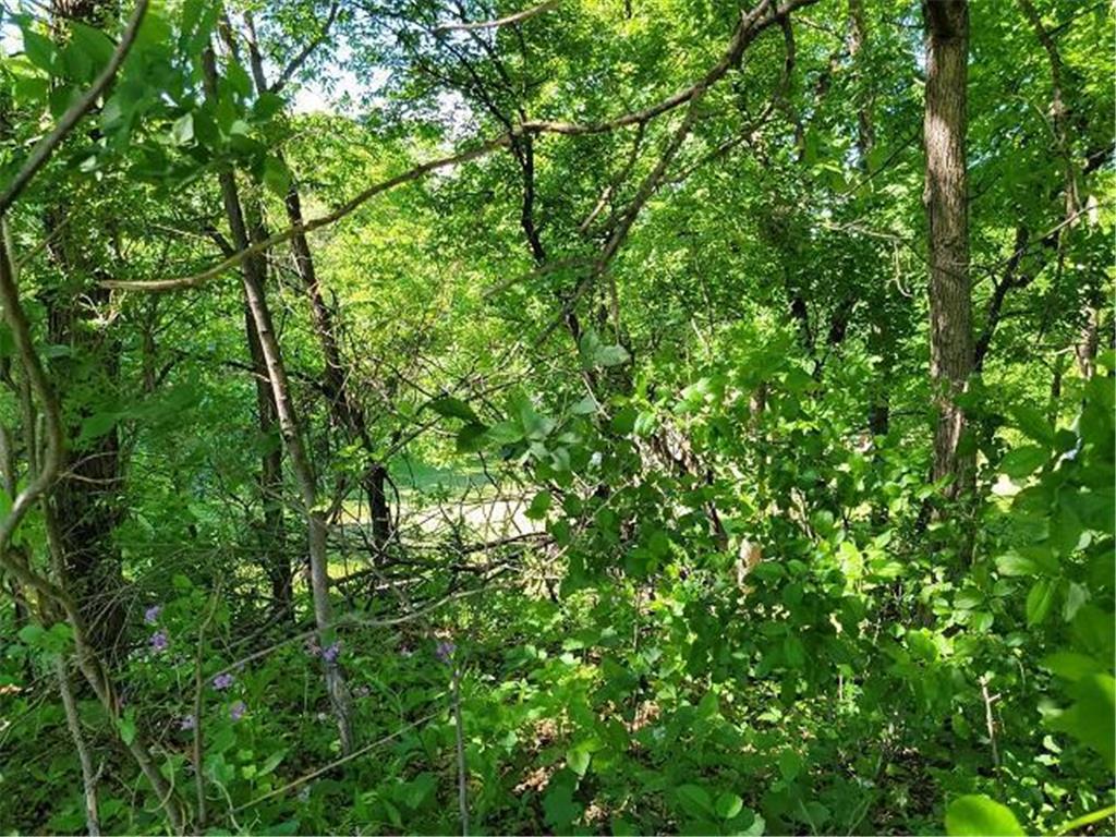 XXX W Church Belle Plaine MN 56011 6678193 image27