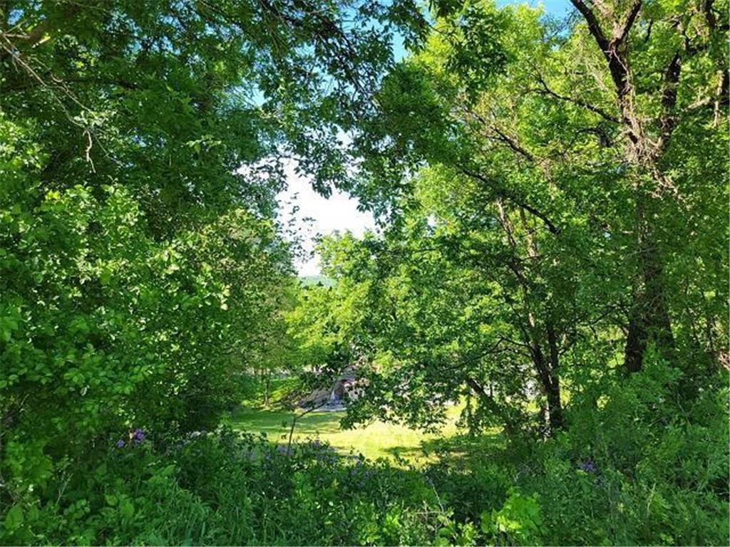 XXX W Church Belle Plaine MN 56011 6678193 image4