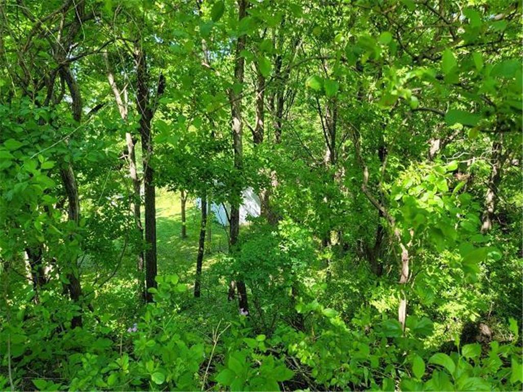 XXX W Church Belle Plaine MN 56011 6678193 image9