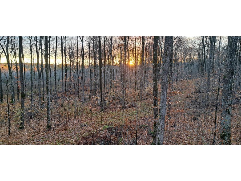 XXX W Eckel Lane Couderay WI 54835 7107244 image10