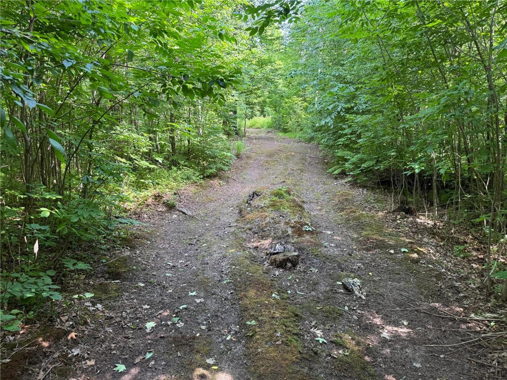 XXX W Eckel Lane Couderay WI 54835 7107244 image36