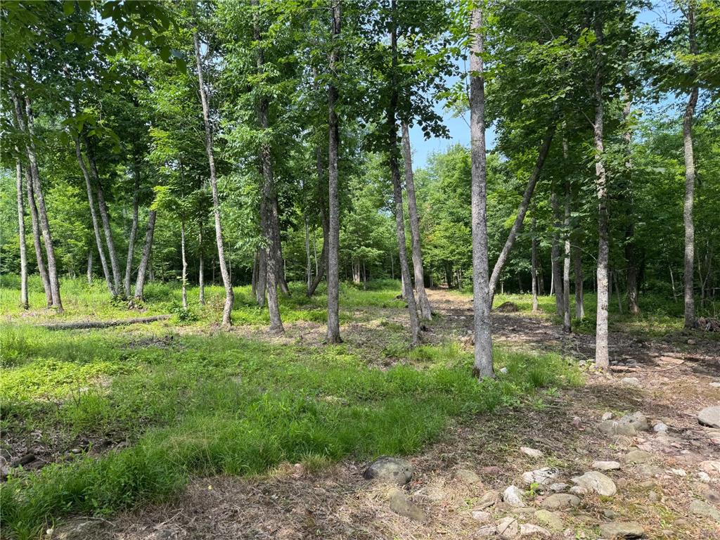 XXX W Eckel Lane Couderay WI 54835 7107244 image37