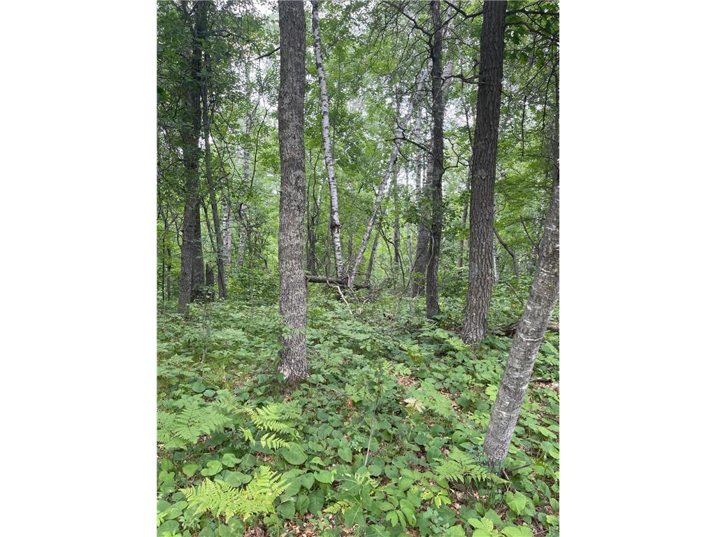 XXX White Overlook Drive Breezy Point MN 56472 6355456 image1