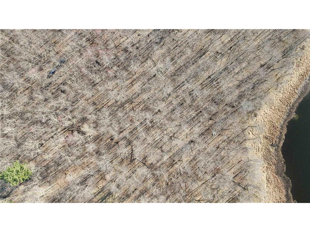 XXX Wilson Lake Drive Bay Lake Twp MN 56444 - Wilson 6574714 image10