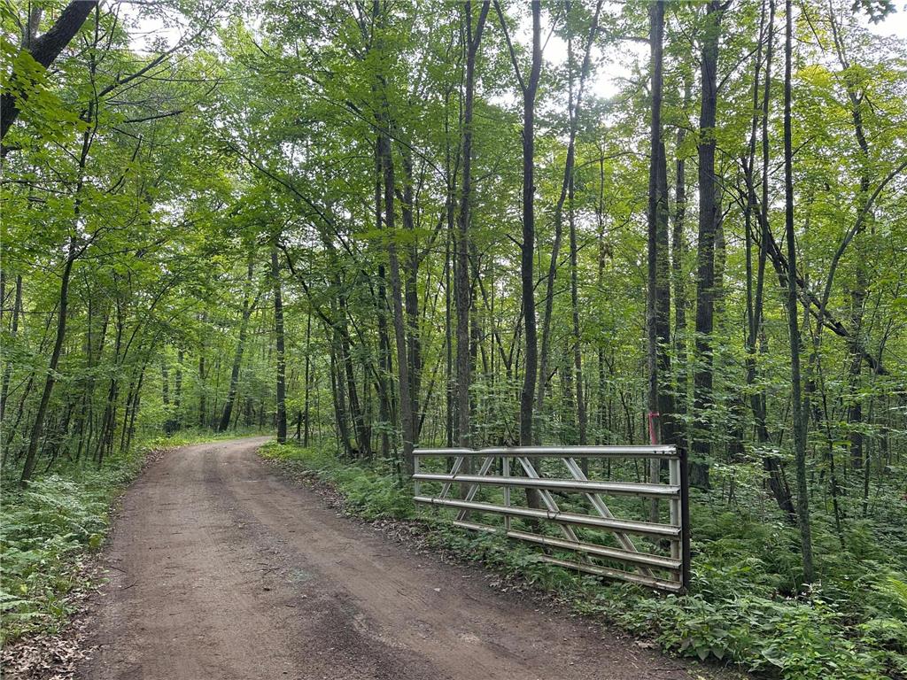 XXX Wilson Lake Drive Bay Lake Twp MN 56444 - Wilson 6574714 image13