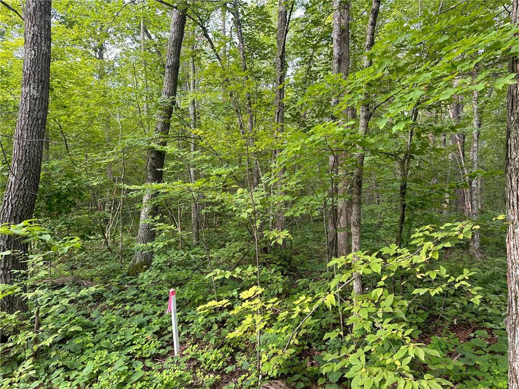 XXX Wilson Lake Drive Bay Lake Twp MN 56444 - Wilson 6574714 image18