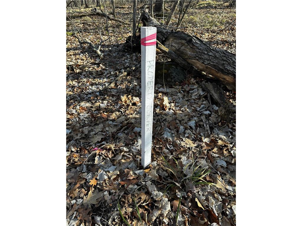 XXX Wilson Lake Drive Bay Lake Twp MN 56444 - Wilson 6574714 image19