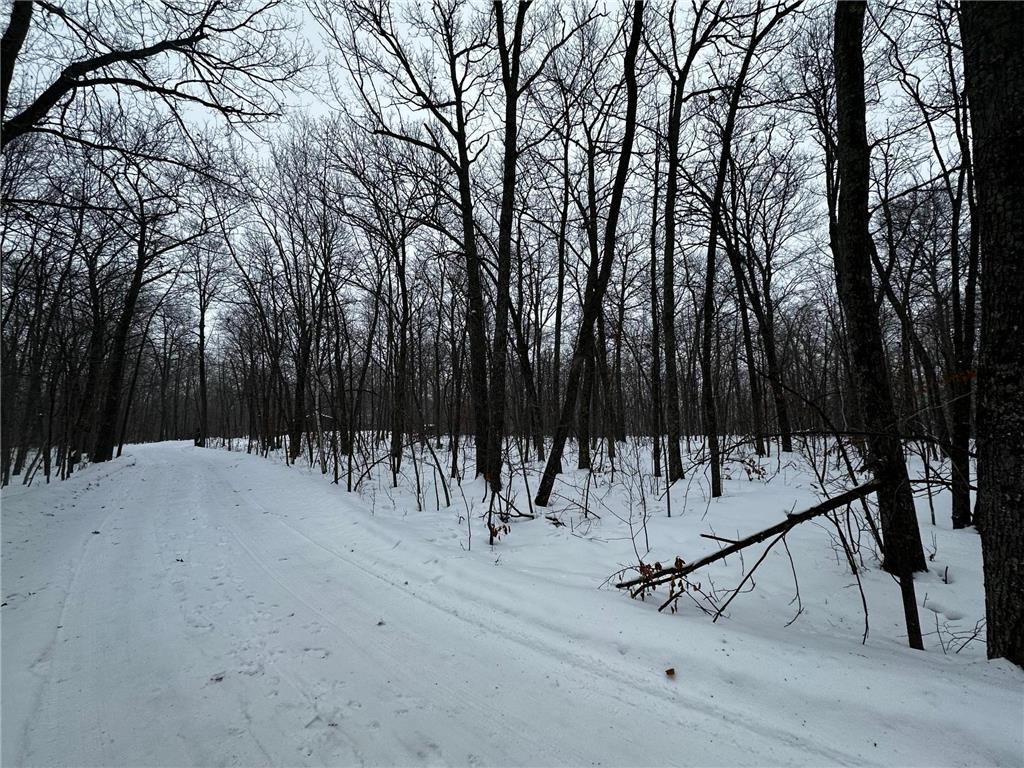 XXX Wilson Lake Drive Bay Lake Twp MN 56444 - Wilson 6574714 image2