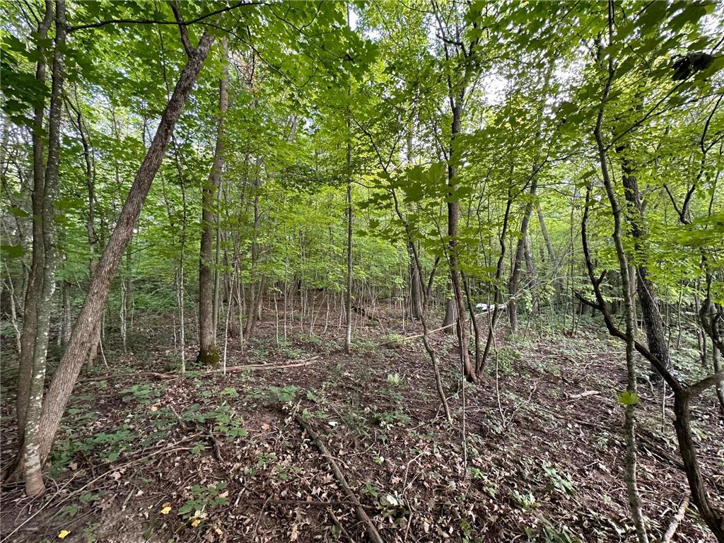 XXX Wilson Lake Drive Bay Lake Twp MN 56444 - Wilson 6574714 image21