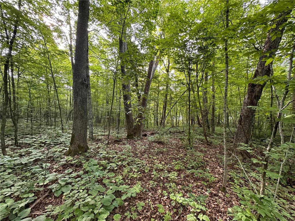 XXX Wilson Lake Drive Bay Lake Twp MN 56444 - Wilson 6574714 image22