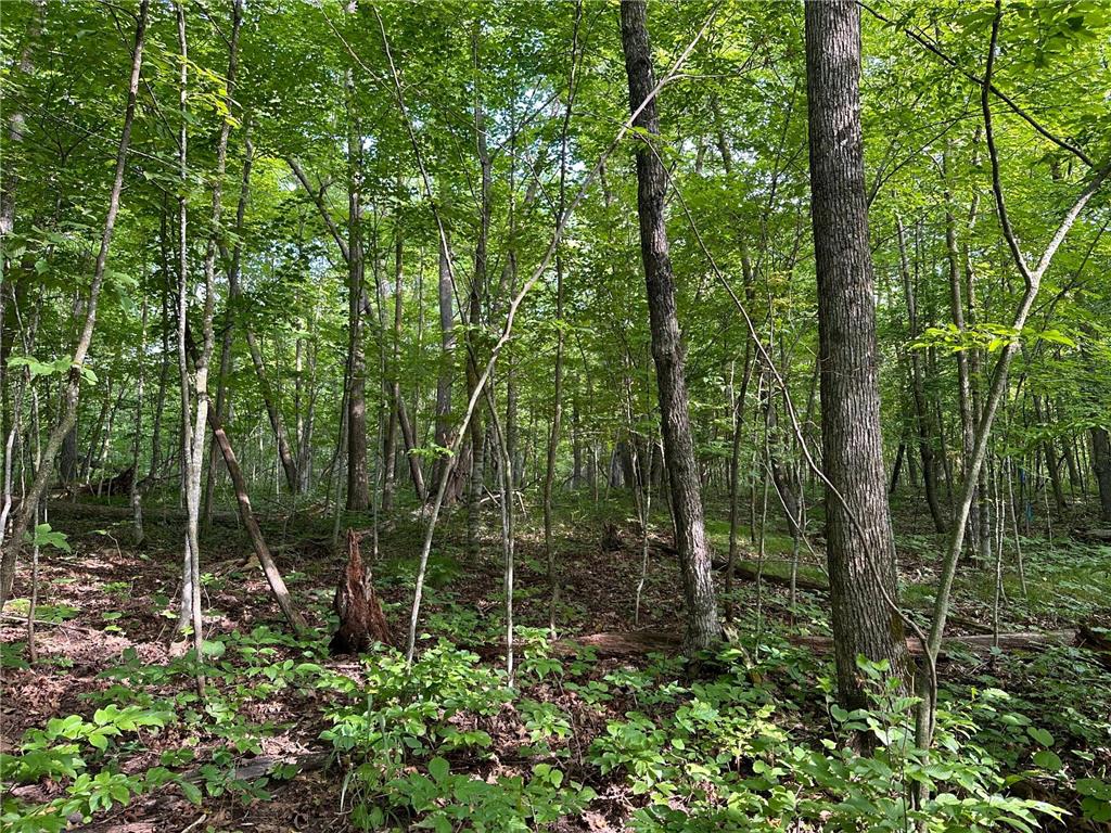 XXX Wilson Lake Drive Bay Lake Twp MN 56444 - Wilson 6574714 image23