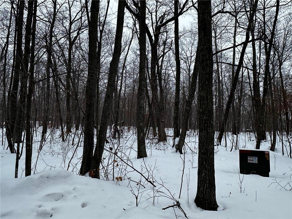 XXX Wilson Lake Drive Bay Lake Twp MN 56444 - Wilson 6574714 image3