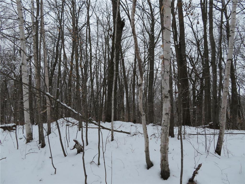 XXX Wolf TRL Cushing Twp MN 56443 6358695 image1