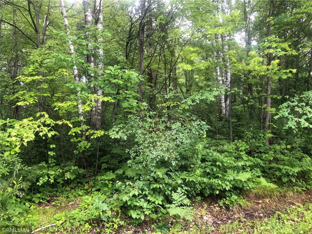 XXX Wood Duck Lane Bruno Twp MN 55712 6401722 image1