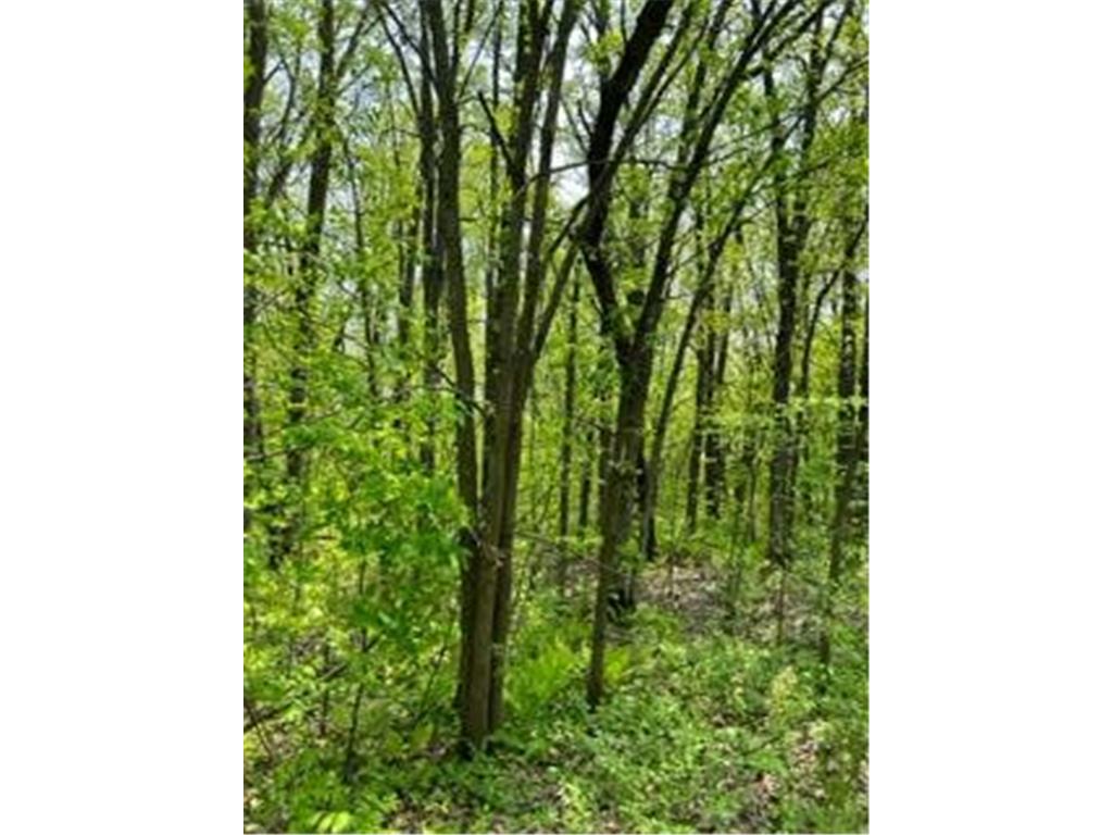 XXX Woodchuck Trail Cushing MN 56443 6368781 image1