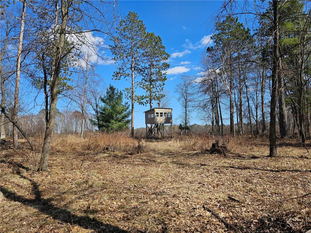 XXX Zarr Road Ironton MN 56455 6513933 image1