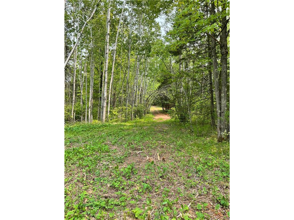 XXX Zinter Road Holyoke Twp MN 55749 - Net 6730783 image1