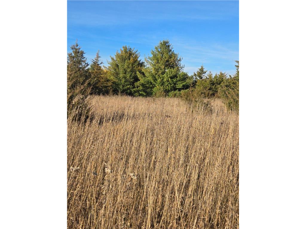 XXX1 Gregory Hillman MN 56338 6498145 image11