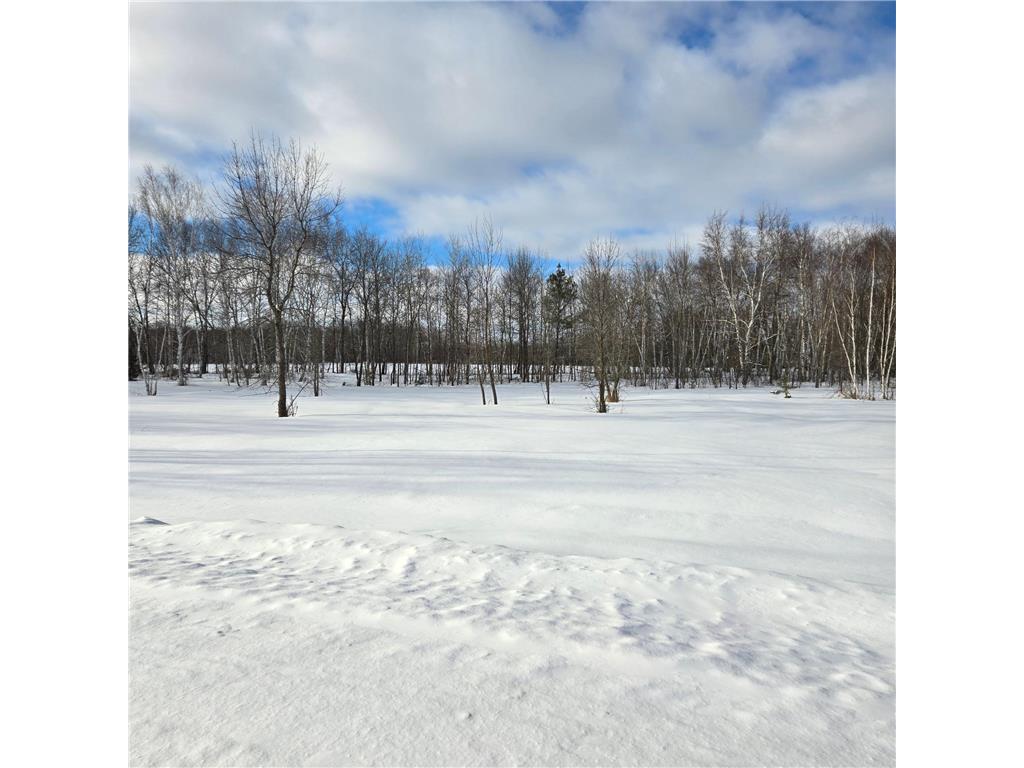 XXX1 Gregory Hillman MN 56338 6498145 image16