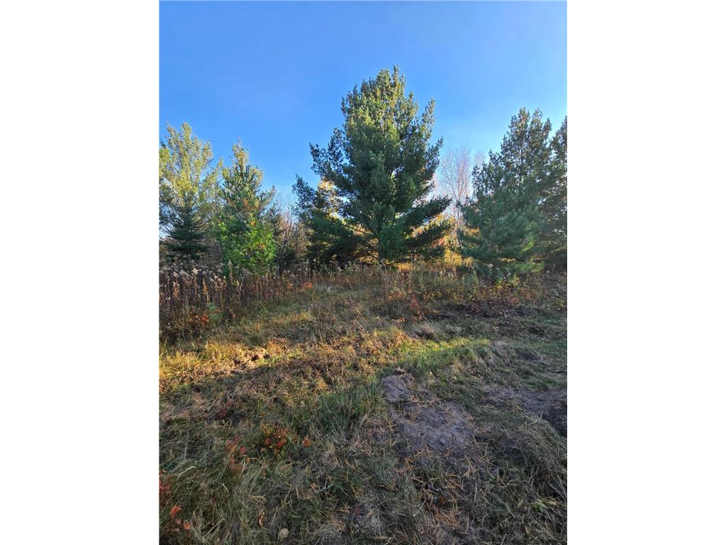 XXX1 Gregory Hillman MN 56338 6498145 image4