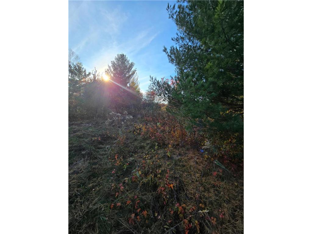 XXX1 Gregory Hillman MN 56338 6498145 image7