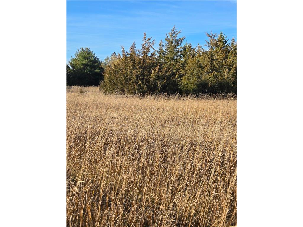 XXX1 Gregory Hillman MN 56338 6498145 image9