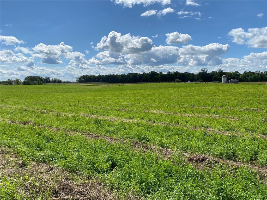 XXX1 Serenity Drive SW Alexandria MN 56308 6644659 image1