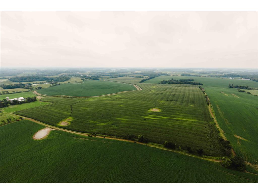 XXX186 Shieldsville Boulevard Lonsdale MN 55046 6768801 image8