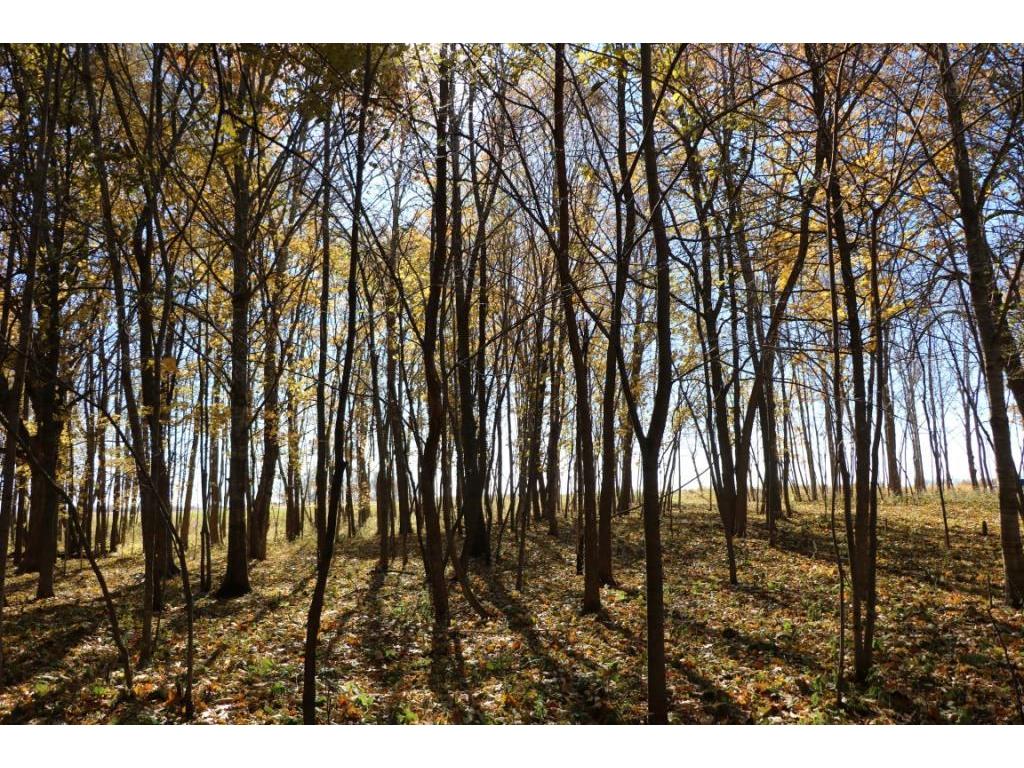 XXX7 Serenity Lane SW Alexandria MN 56308 - Turtle Lake 7053907 image10