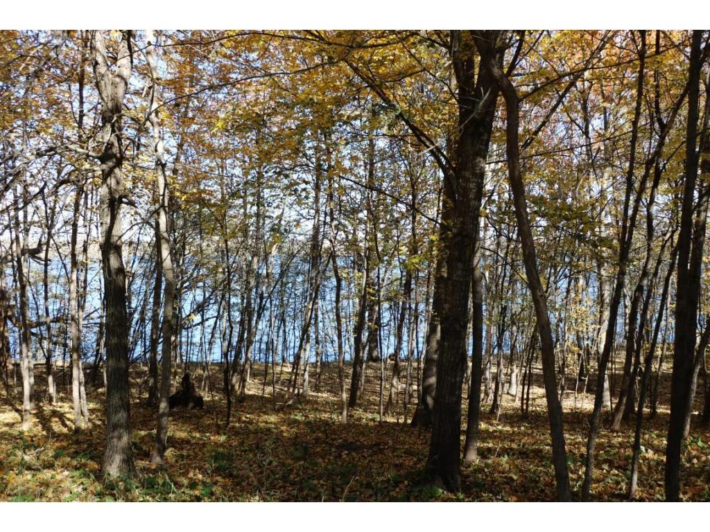 XXX7 Serenity Lane SW Alexandria MN 56308 - Turtle Lake 7053907 image11
