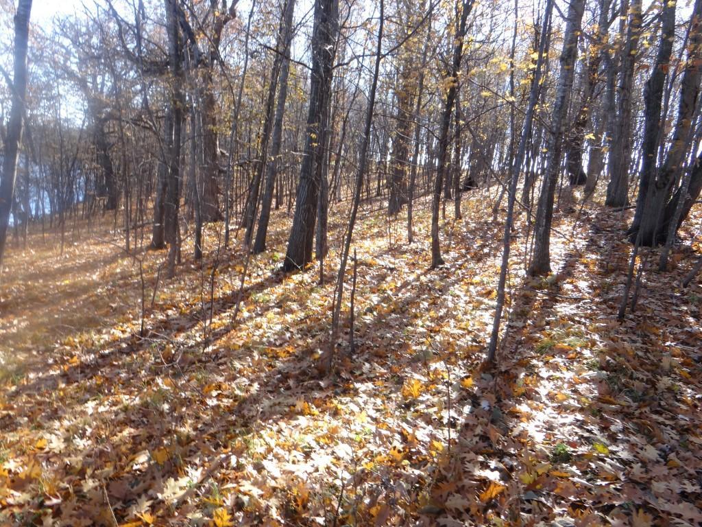 XXX7 Serenity Lane SW Alexandria MN 56308 - Turtle Lake 7053907 image12