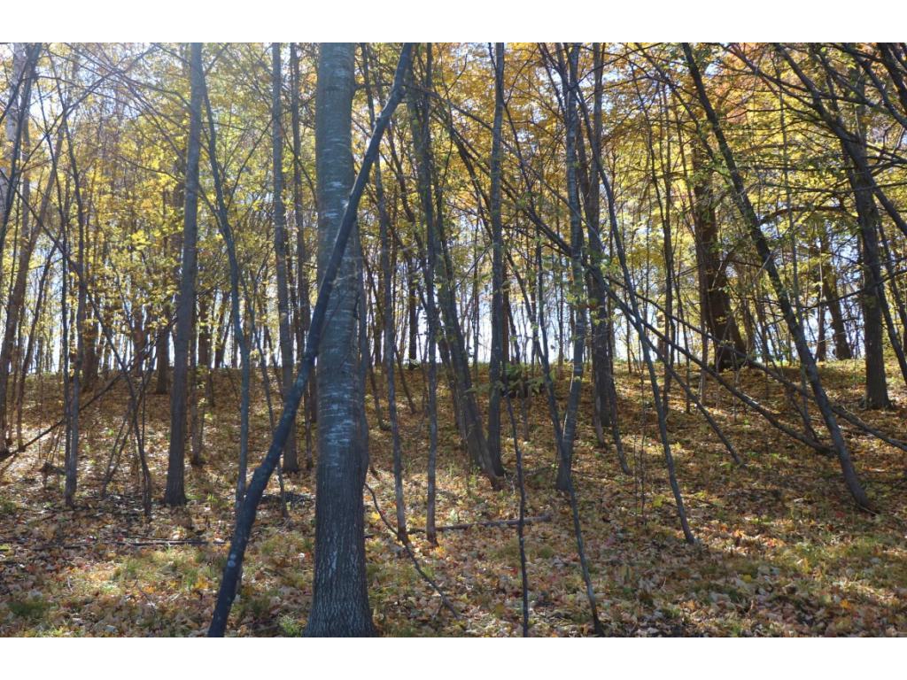XXX7 Serenity Lane SW Alexandria MN 56308 - Turtle Lake 7053907 image4