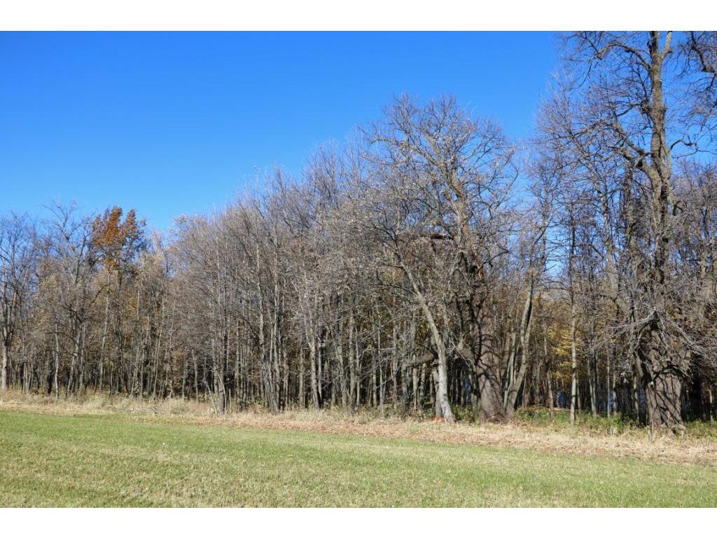 XXX7 Serenity Lane SW Alexandria MN 56308 - Turtle Lake 7053907 image6