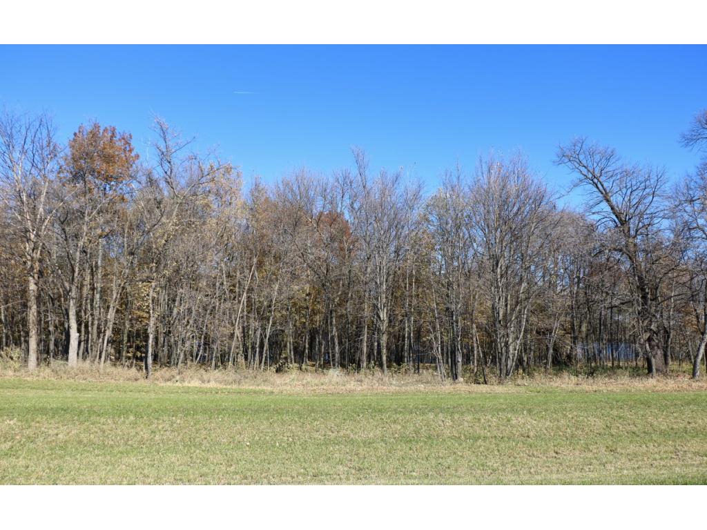 XXX7 Serenity Lane SW Alexandria MN 56308 - Turtle Lake 7053907 image7